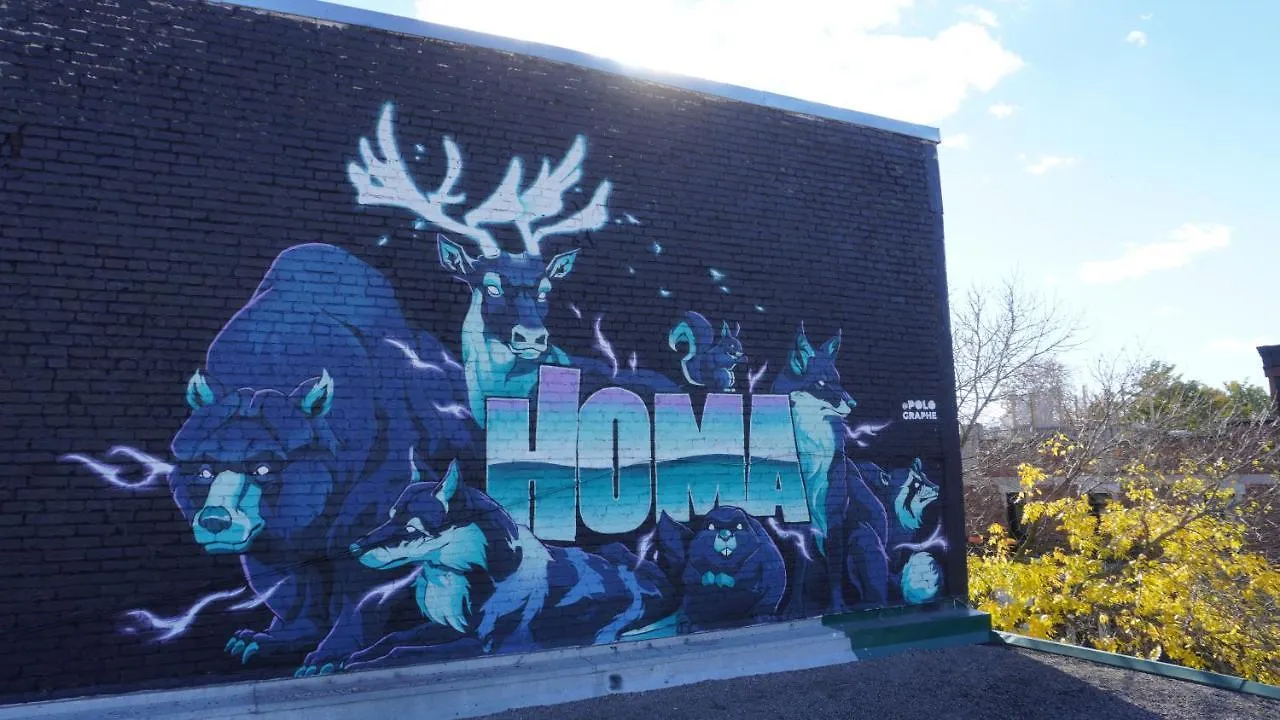 Guest house Homa Homestay Hotel By Olympic Stadium Montreal Auberge-Hostel