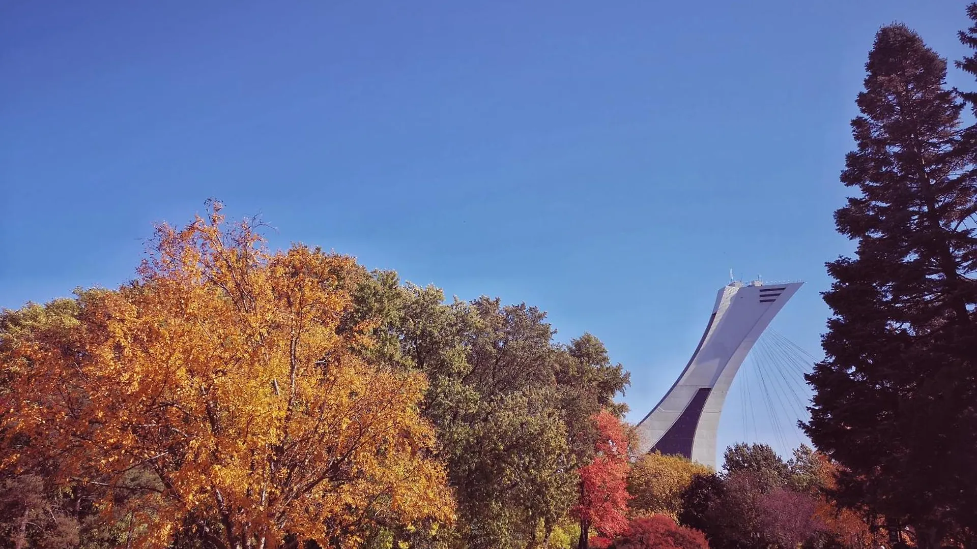 Homa Homestay Hotel By Olympic Stadium Montreal Auberge-Hostel Canada